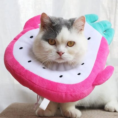 recovery cone for cats, plush stuff recovery cone in different styles, dragon fruit
