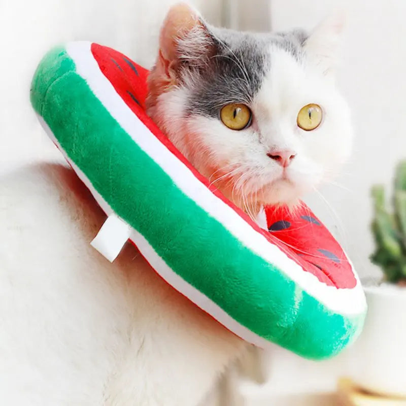 recovery cone for cats, plush stuff recovery cone in different styles, watermelon