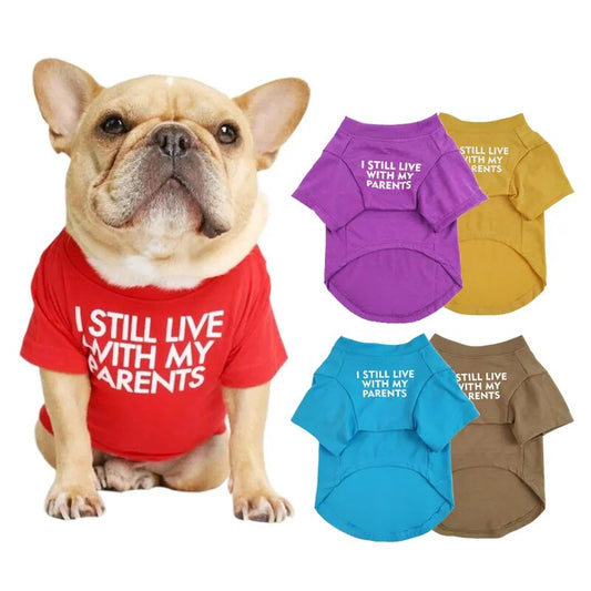 pullover t-shirt, small dog wearing the red, the other colors are purple, yellow, red, turquois, khaki