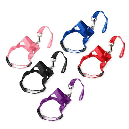 head collar training leash different colors, pink, black, purple, red, blue