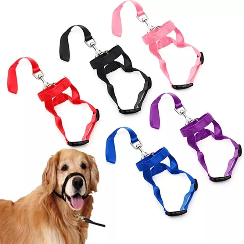 Head collar training leash, assorted colors, red, black, pink, blue, purple