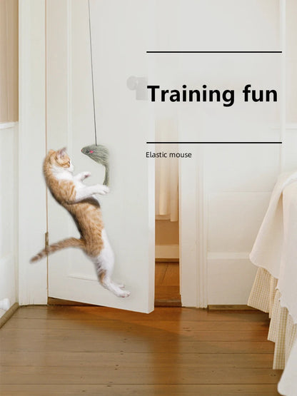 interactive hanging cat toy, gives the cat play time while getting exercise for the body and mind, training fun