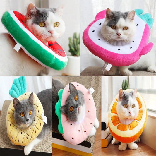 recovery cone for cats, plush stuff recovery cone in different styles, watermelon, pineapple, orange, dragon fruit, strawberry