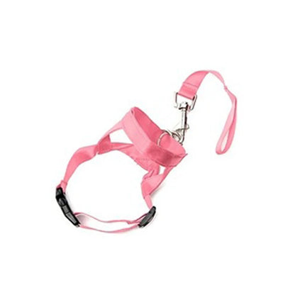 pink head collar training leash