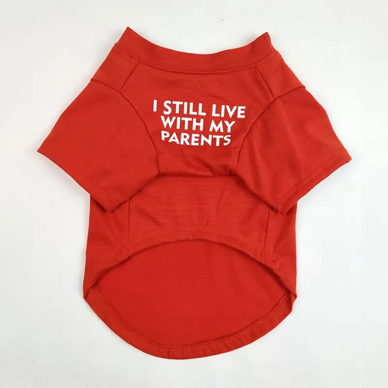 red pullover T-shirt for your pet, words say, I still live with my parents