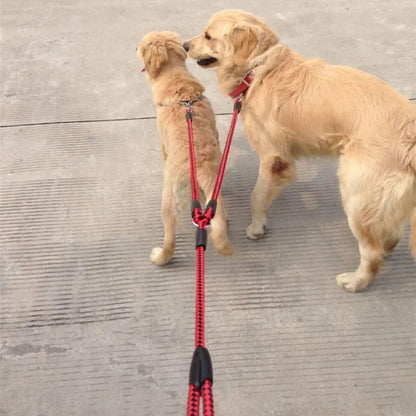 double dog leash, 