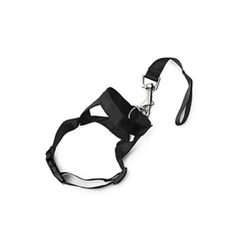black head collar training leash