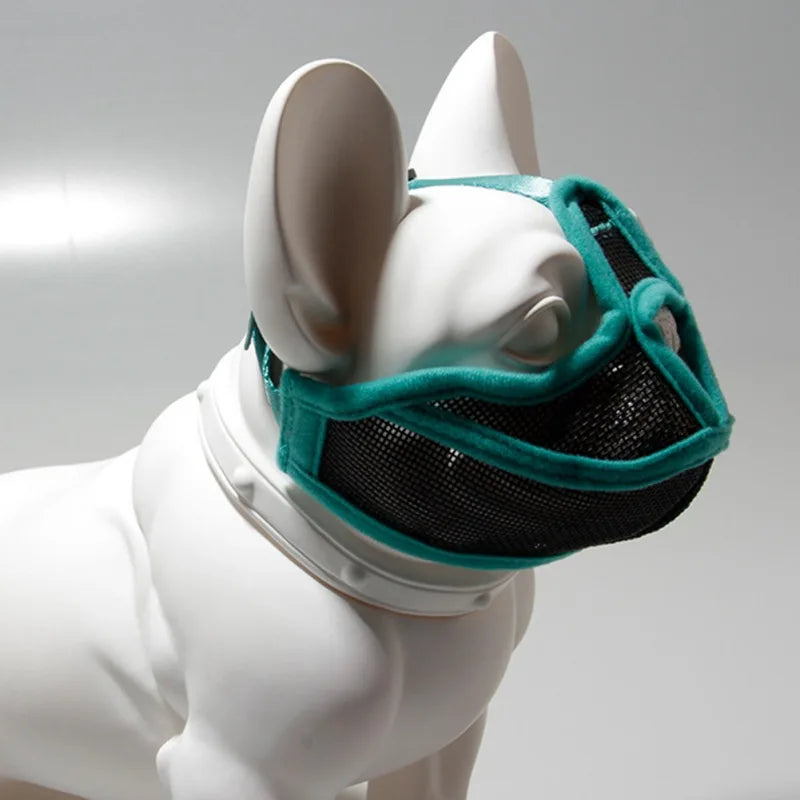 Dog Muzzle