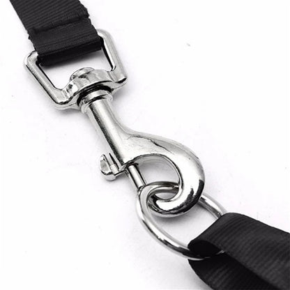 close up with the head collar training leash steel hook swivels clips on to the hook of the collar