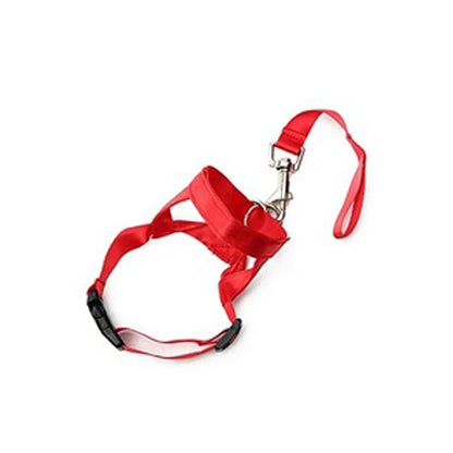 red head collar training leash