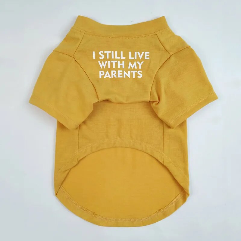 Yellow pullover T-shirt for your pet, words say, I still live with my parents