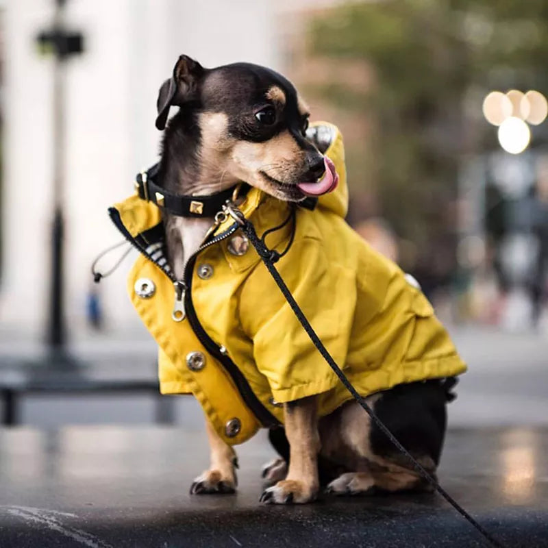 Waterproof  Raincoat for Dogs
