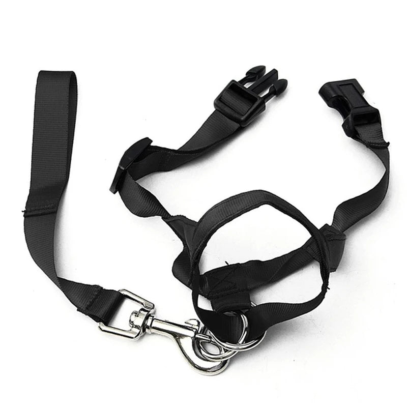 black head collar training leash