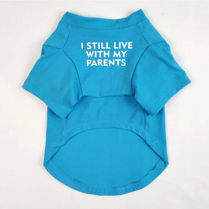 turquois pullover T-shirt for your pet, words say, I still live with my parents