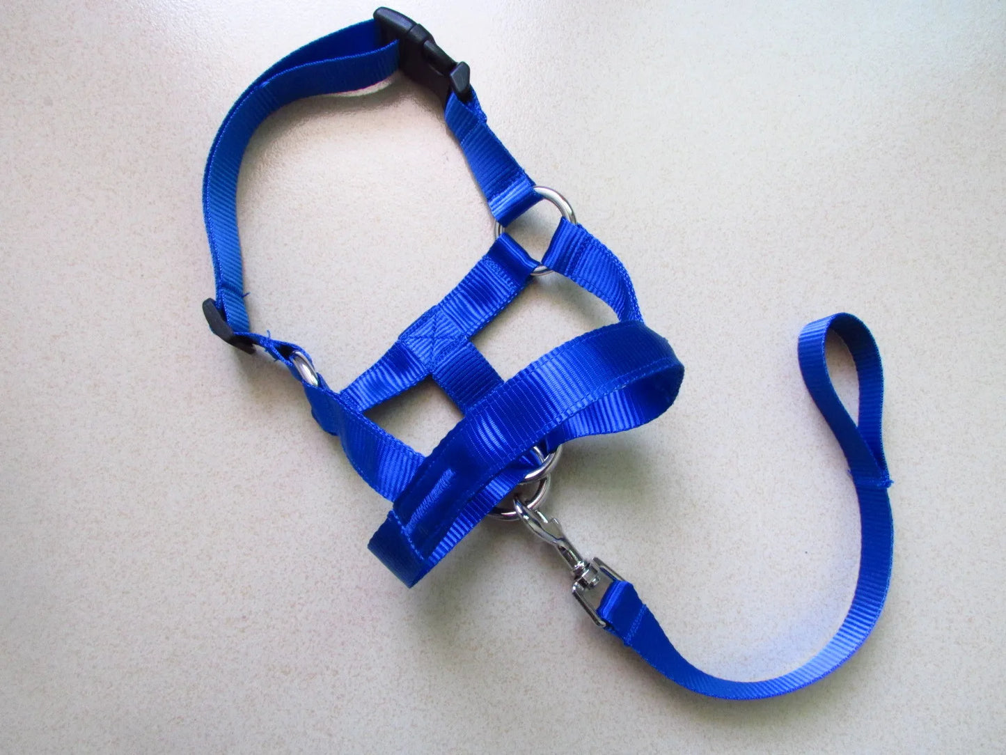 blue, head harness training leash