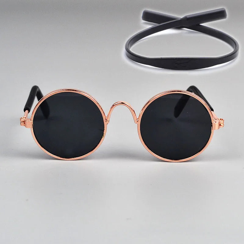 gold frame and black lens, sun glasses for cats with head strap