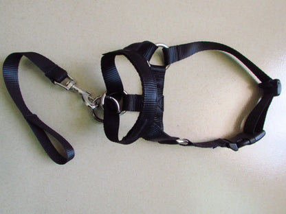 black, head harness training leash