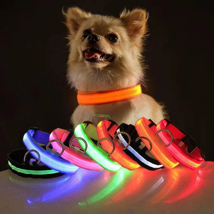 LED Night Dog Collar