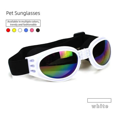 pet sunglasses, white