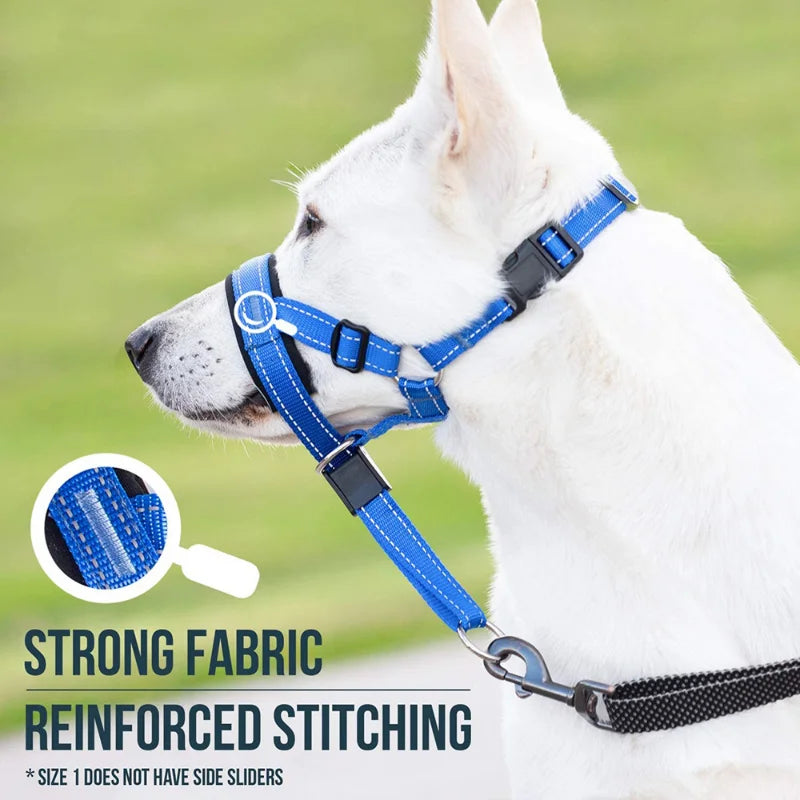 head harness training leash, a view of the harness how it fits on the dog, strong fabric with reinforced stitching