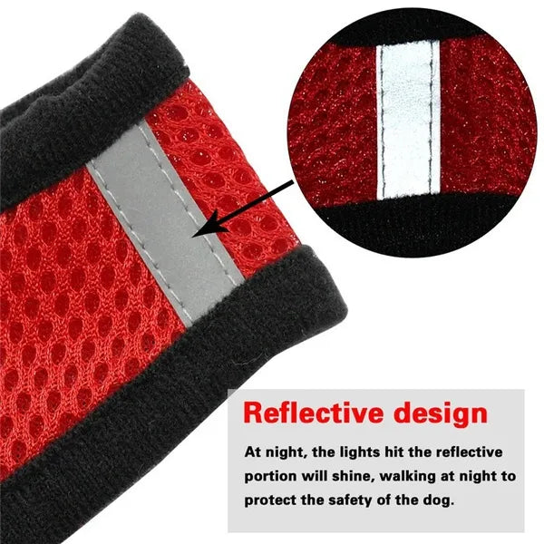 view of the reflective band on the harness for safety of the pet