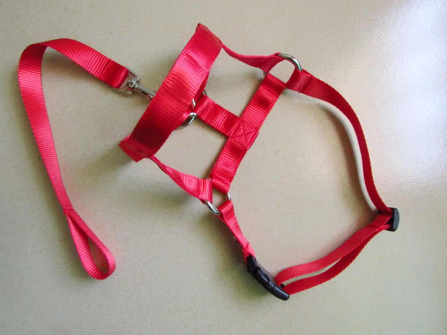red, head harness training leash