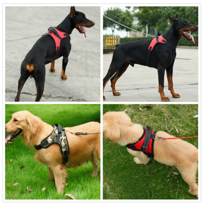 picture of the heavy duty dog harness how it looks and fits the dog