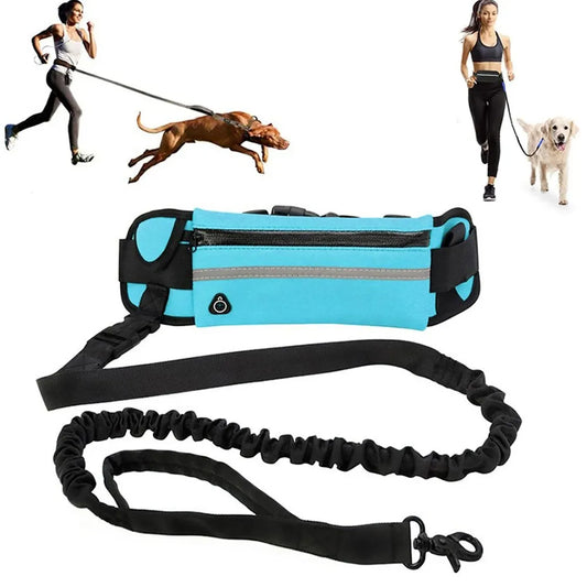 Reflective hands free dog leash, helps create an enjoyable walk.  
