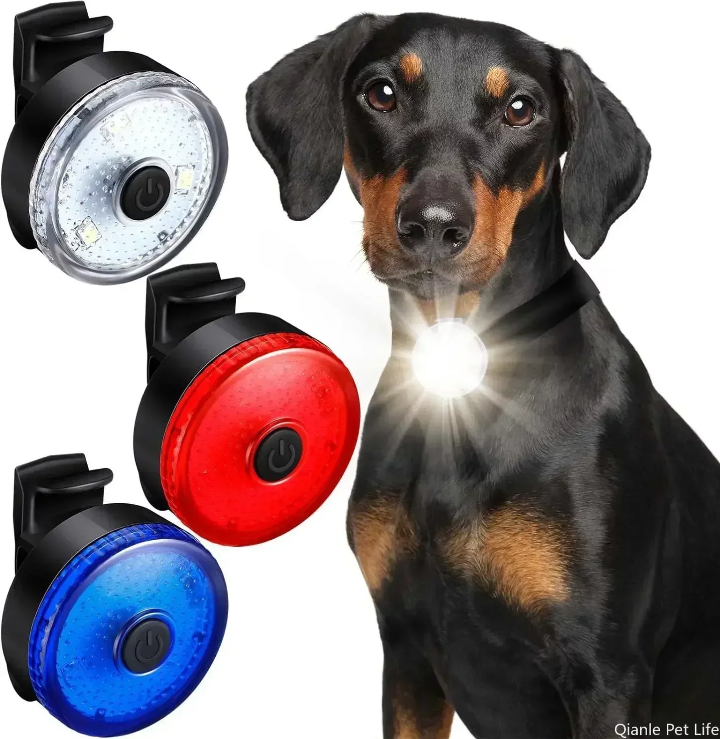 Light for Dog Collar