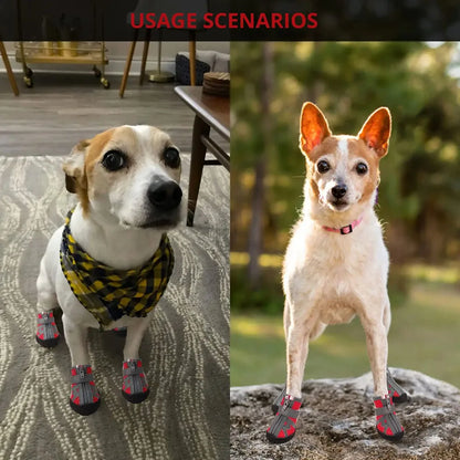 Dog Rain Boots