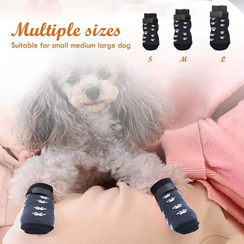 pet socks, multiple sizes, small, medium, large