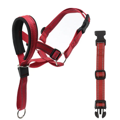 red harness with safety strap, head harness training leash