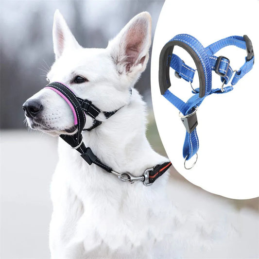 head harness training leash, picture showing what it looks like on a dog, 
