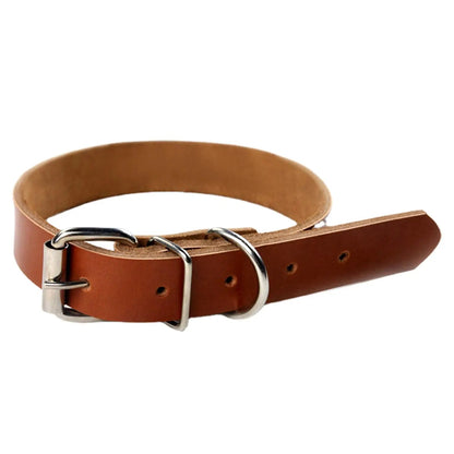 brown rolled leather dog collar