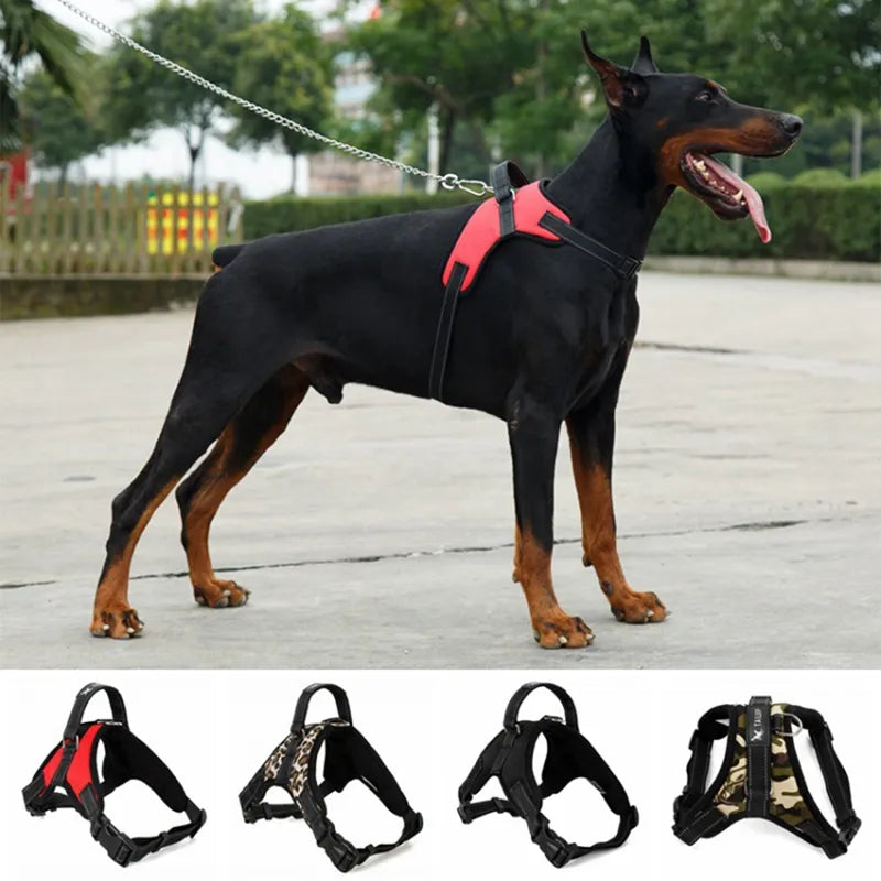 heavy duty dog harness fits nicely on large dogs