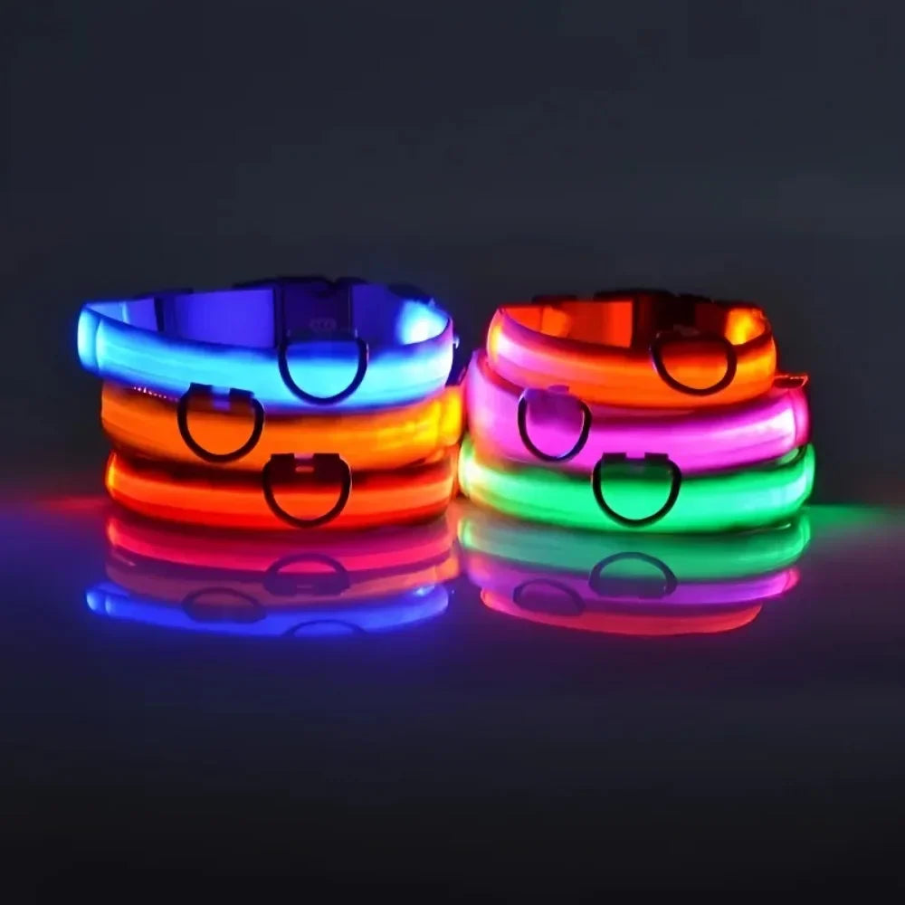 LED Night Dog Collar