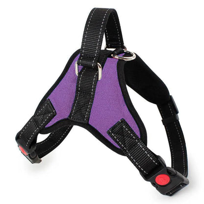 purple, heavy duty dog harness