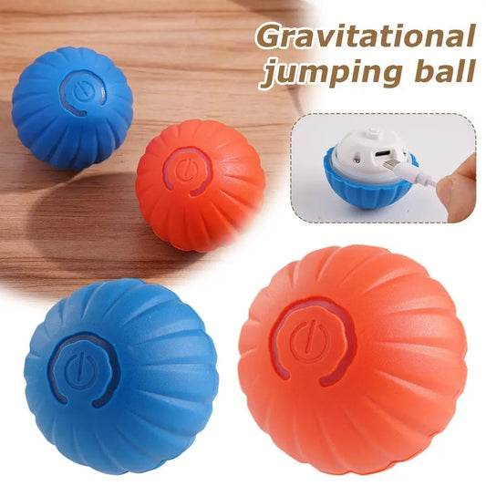 Interactive Toy Ball