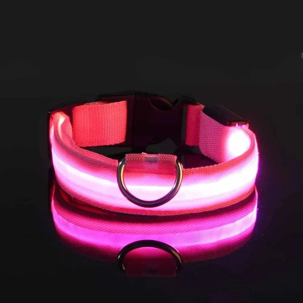 LED Night Dog Collar