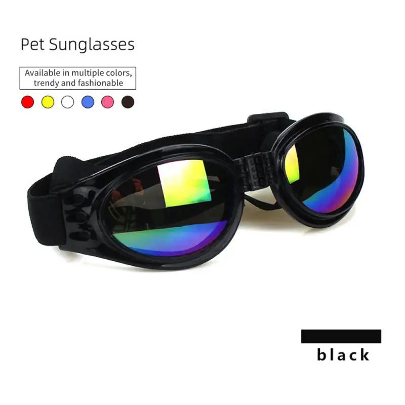 pet sunglasses, black