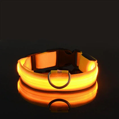 LED Night Dog Collar