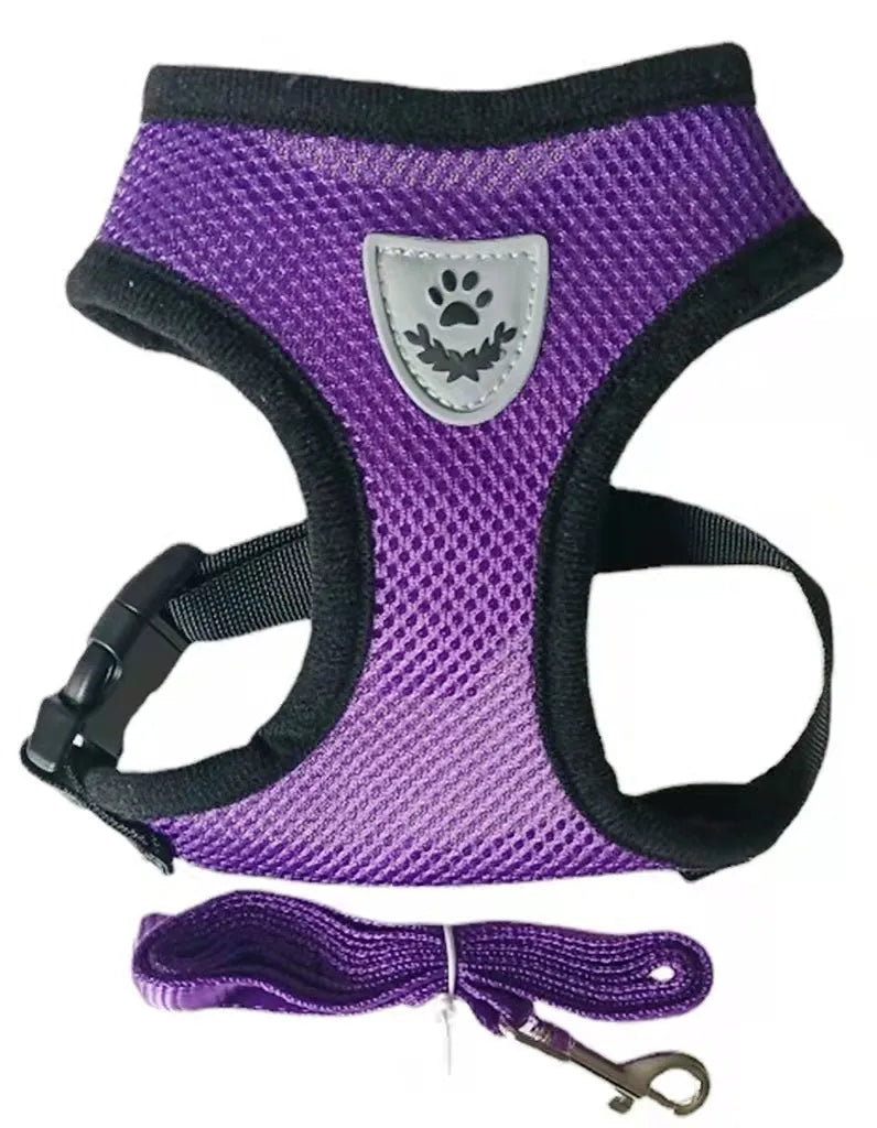 cat harness and leash, purple mesh with black seams