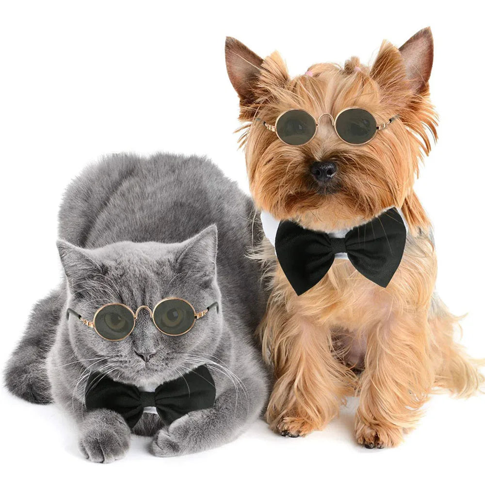 sun glasses for cats and small dogs