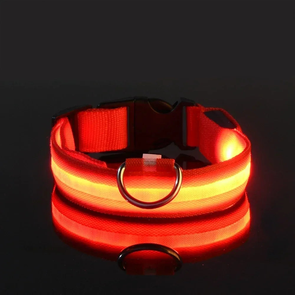 LED Night Dog Collar