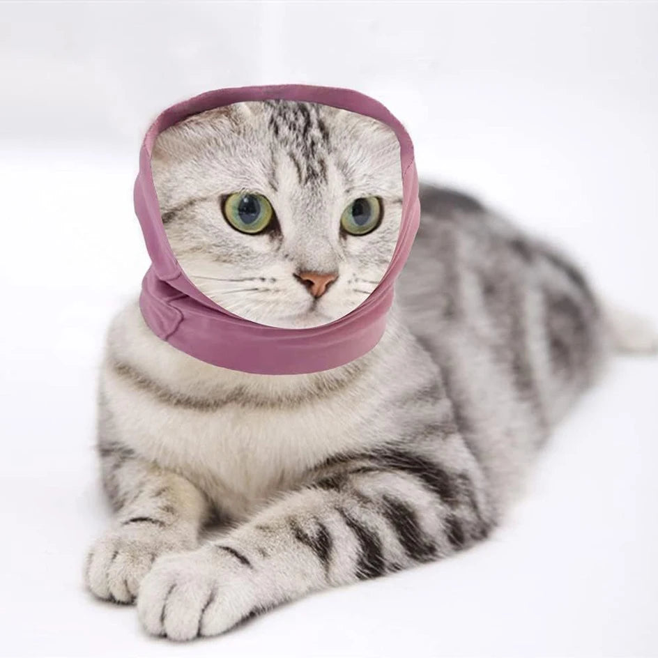 Pet Earmuff Headband