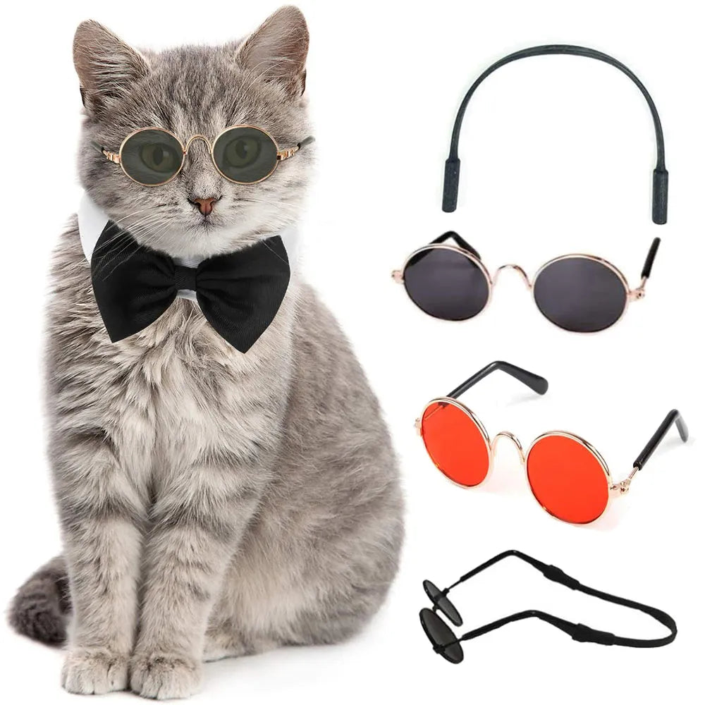 sun glasses for cats the strap for the glasses to sit on the cats head