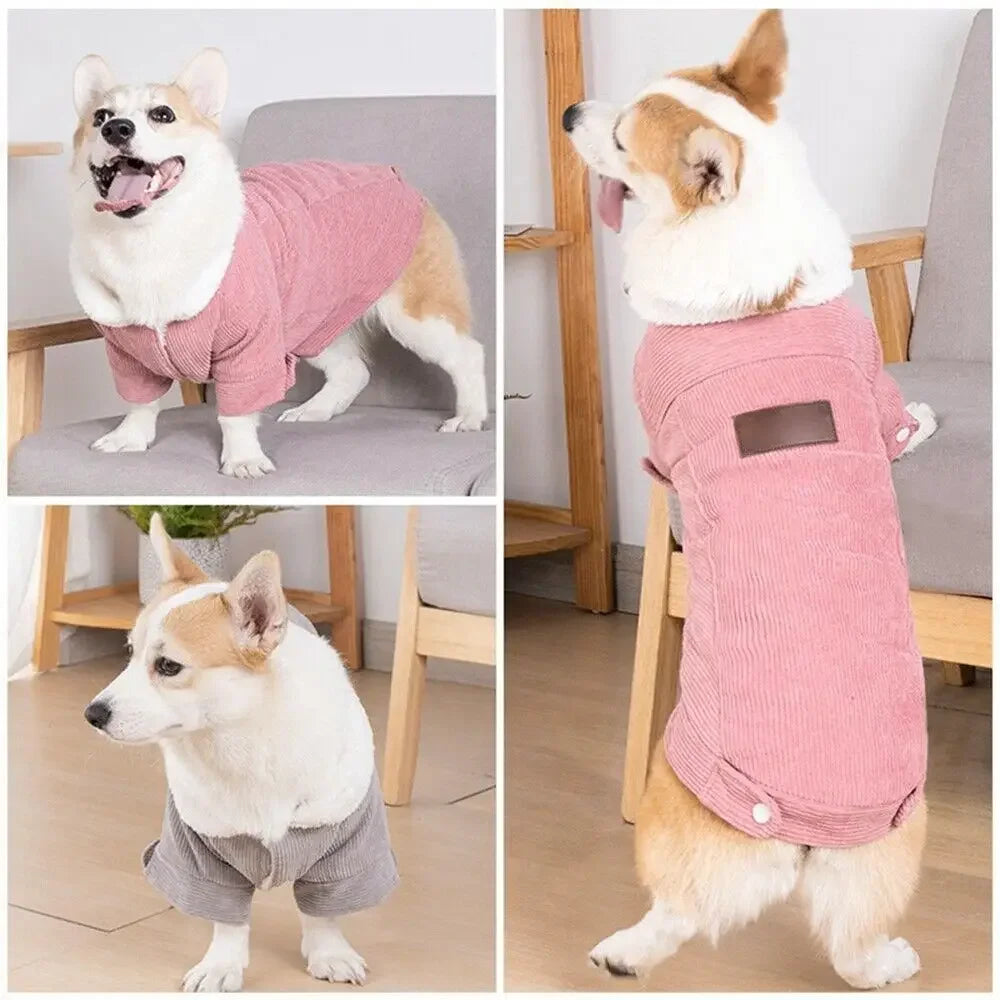 Dog Winter Jacket