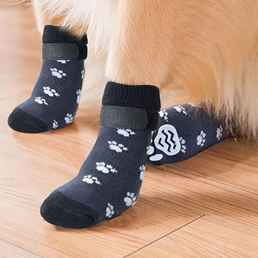 pet socks, this is what they look like on your pets feet