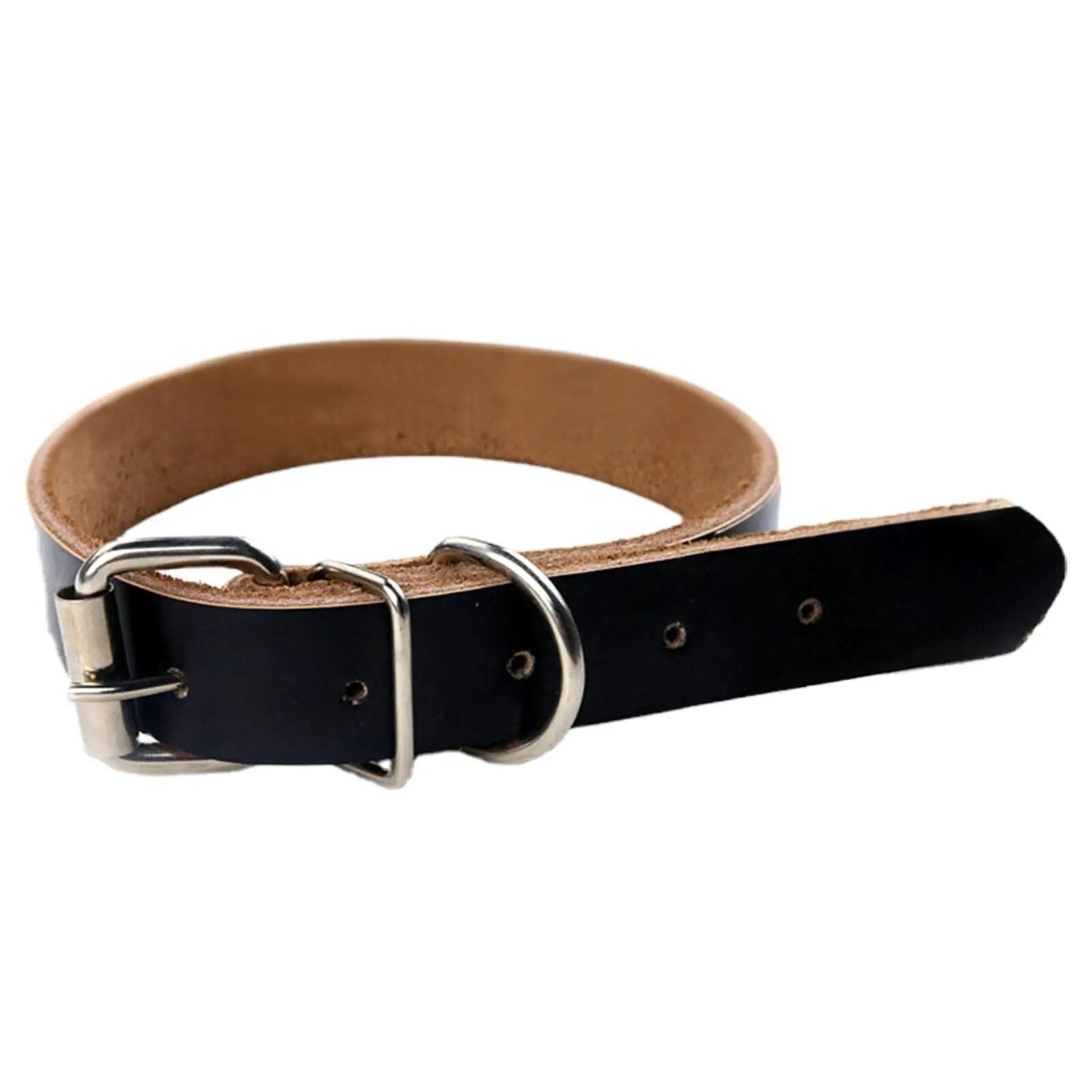 black rolled leather dog collar