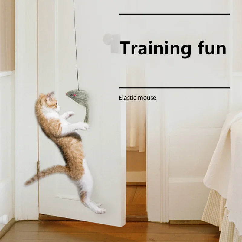 interactive hanging cat toy, gives the cat play time while getting exercise for the body and mind, training fun